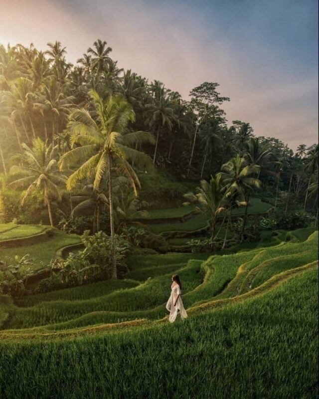 Bali Private Tour (1-5 Days) All-Inclusive with Lunch & Ticket - Choosing one, two, three, four, or five days