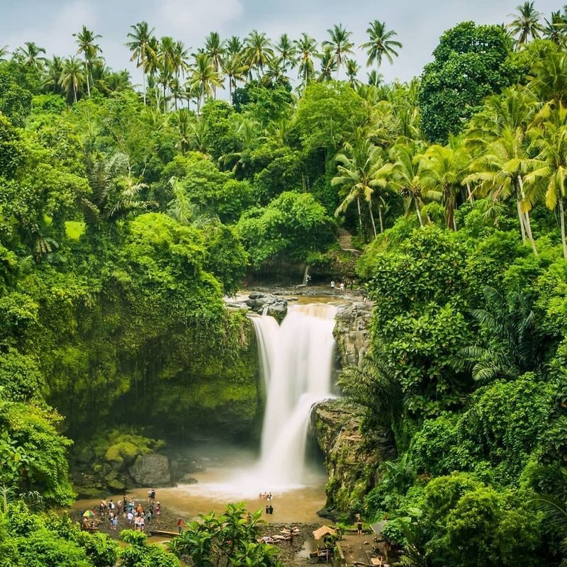 Bali Private Tour (1-5 Days) All-Inclusive with Lunch & Ticket - Nusa Penida adds a different kind of day