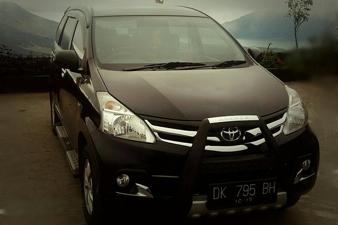 Bali Private Transfer: Round Trip Ngurah Rai Airport-Ubud Area - Verified Review Sources