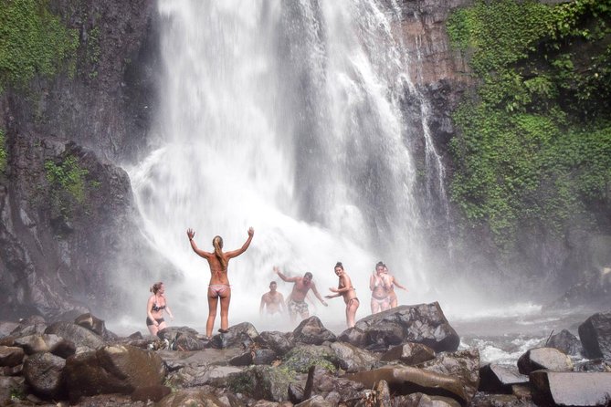 Bali Private UNESCO Heritage Sites Trip - Trip Highlights
