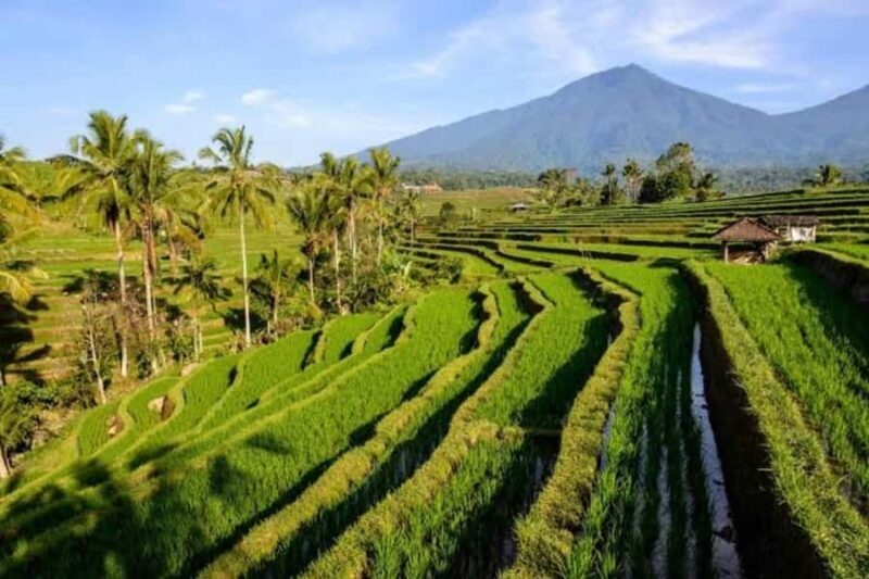 Bali: Private UNESCO World Heritage Sites Tour - Good To Know