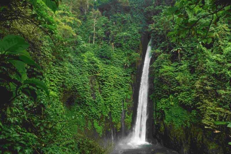 Bali: Private Waterfall Tour with Lunch and Hotel Pickup - Detailed Breakdown: Why This Tour Works for You