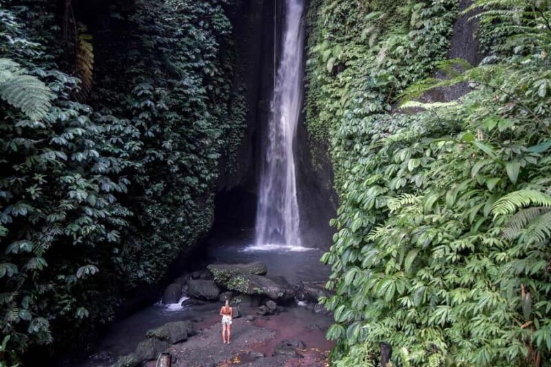 Bali: Private Waterfall Tour with Lunch and Hotel Pickup - Who Is This Tour Perfect For?