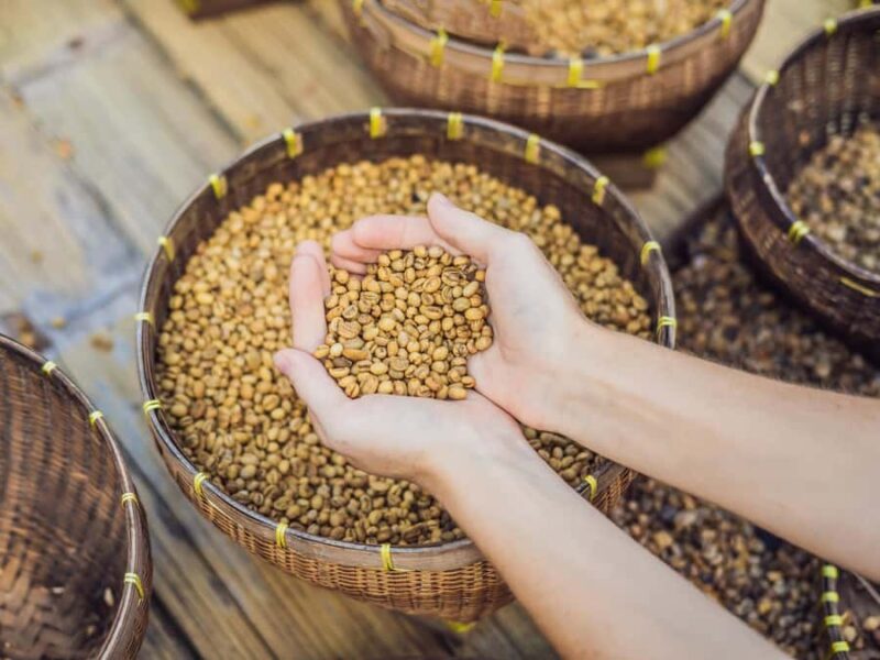 Bali: Private Waterfalls and Rice Terraces Day Trip - Practicalities: What to Know Before Going