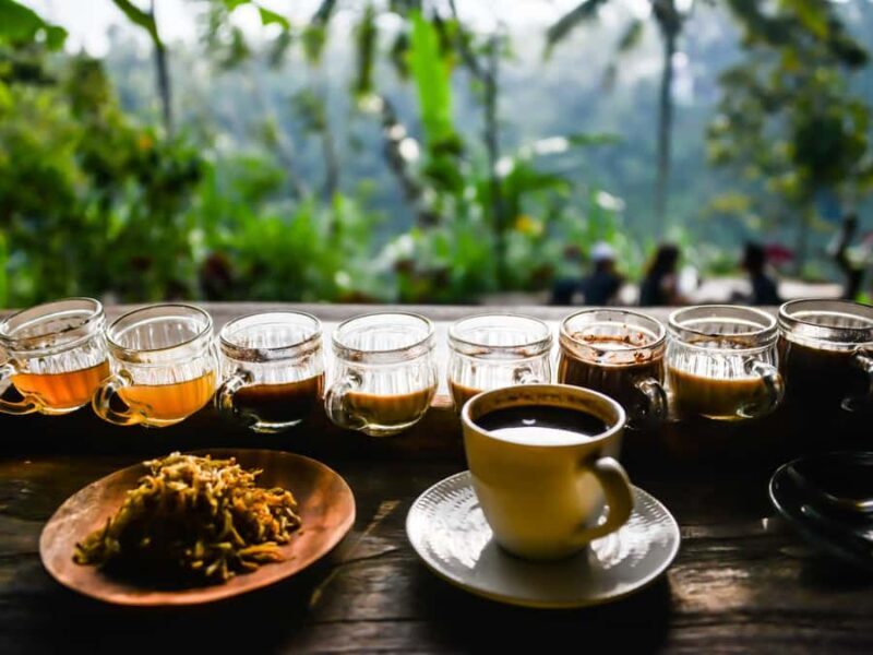 Bali: Private Waterfalls and Rice Terraces Day Trip - FAQ