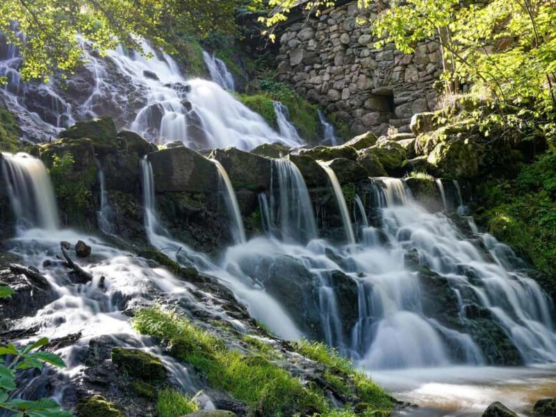 Bali: Private Waterfalls and Rice Terraces Day Trip - Practical Details and What to Expect