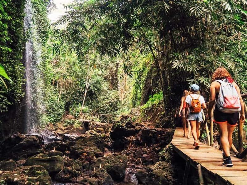 Bali: Private Waterfalls Tour with Hotel Pickup & Drop-off - FAQ