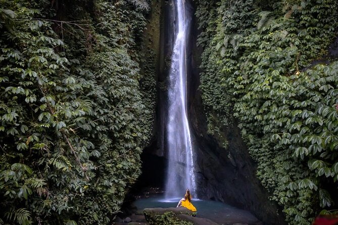 Bali PrivateTanahlot Sunset Tour - Tour Details