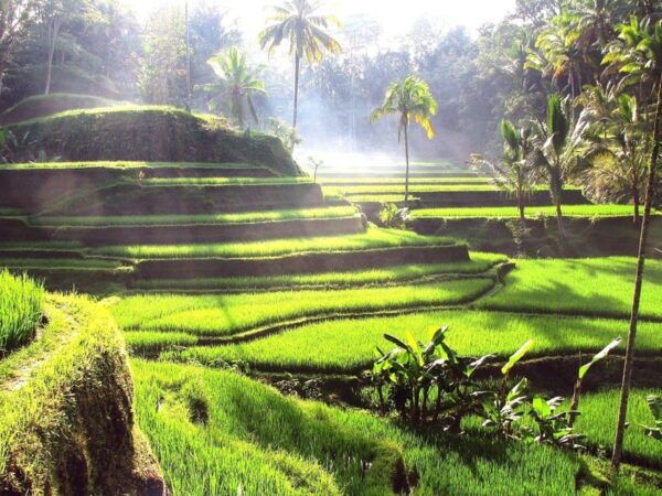 Bali Profesional Photografer - Questions You May Have