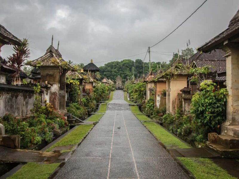 Bali: Professional photoshoot at Pengelipuran bamboo forest. - Good To Know  