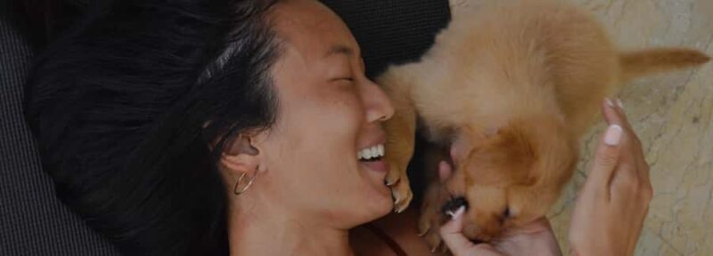 Bali: Puppy Yoga Class - Rescue Puppies & Refreshing Drinks - Group Size & Atmosphere