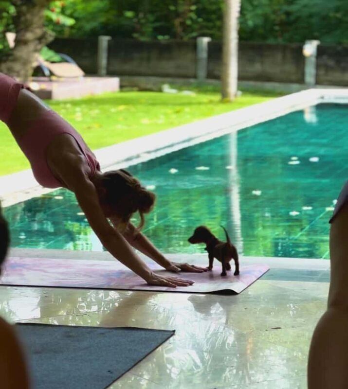 Bali: Puppy Yoga Class - Rescue Puppies & Refreshing Drinks - Cost & Value for Money