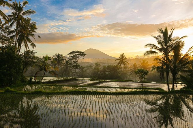 Bali Pure Trek With Spiritual Journey, Purification Ceremony, Local Priest -Ubud - Inclusions and Amenities