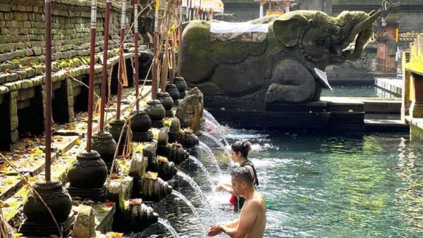 Bali: Purification at Tirta Empul Temple - Inclusions and Optional Add-Ons