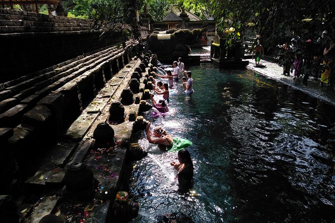 Bali Purification Ritual - Experience Highlights