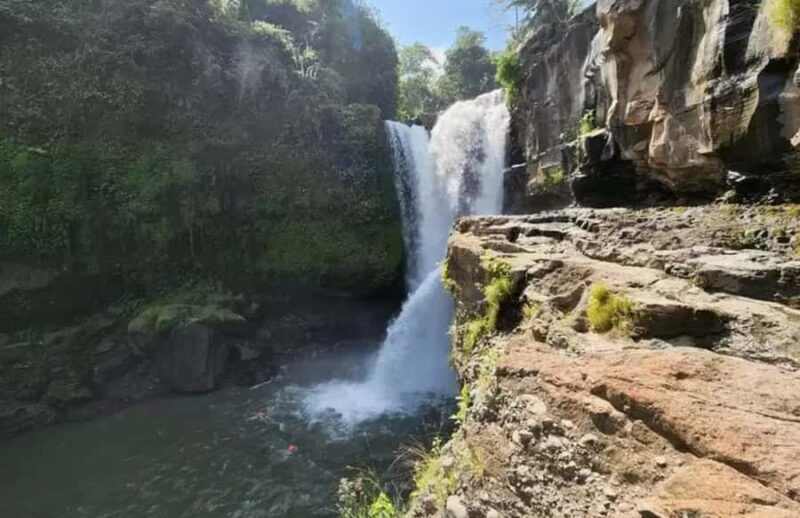 Bali: Quad Bike Adventure with Ubud Monkey Forest Tour - An In-Depth Look at the Bali Quad Bike Tour