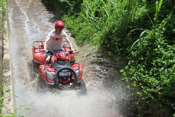 Bali Quad Bike With Ubud Tour - Tour Overview