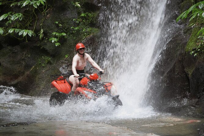 Bali Quad Biking Jungle Exploration with Buffet Lunch - Authentic Experiences and Reviewer Insights
