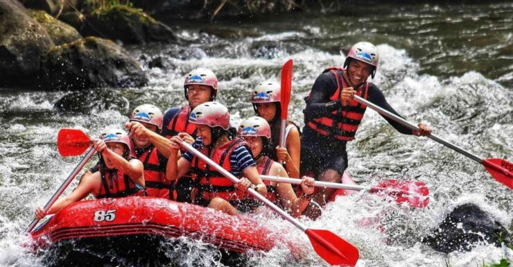 Bali Rafting Adventures and Ubud Day Trip - Payment and Booking