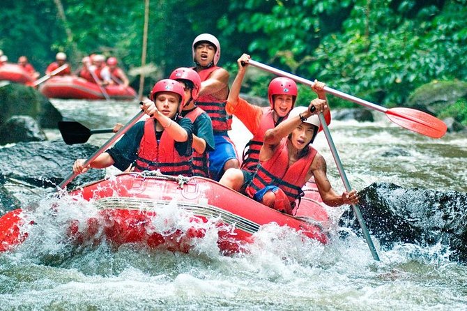 Bali Rafting and Tegalalang Race Terrace Tour - Tour Overview