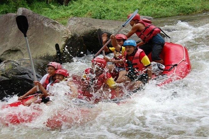 Bali Rafting and Ubud Tour - Ubud Tour Highlights