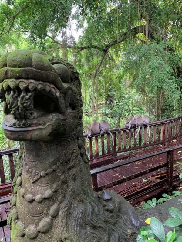 Bali Rafting ayung River Combination Private Ubud Tour - Good To Know