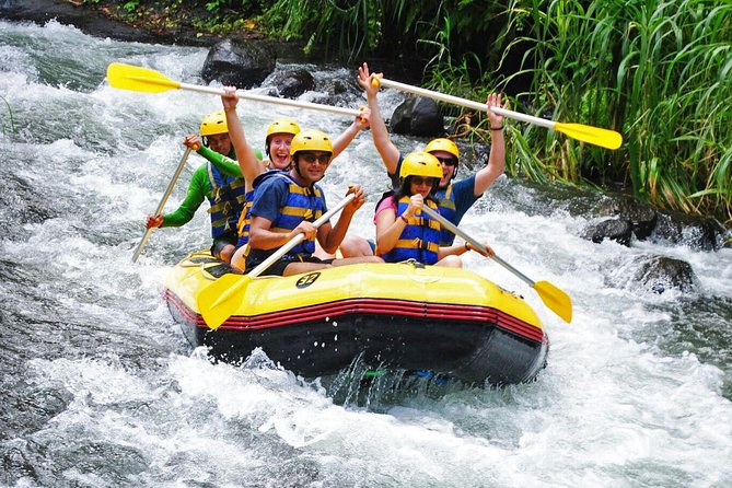 Bali Rafting (Bcr Rafting) at Telaga Waja River With Lunch and Private Transfer - Tour Highlights