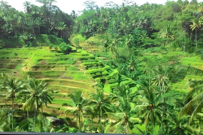 Bali : Rafting + Rice Terrace + 1,5Hrs Massage + Lunch - Important Information