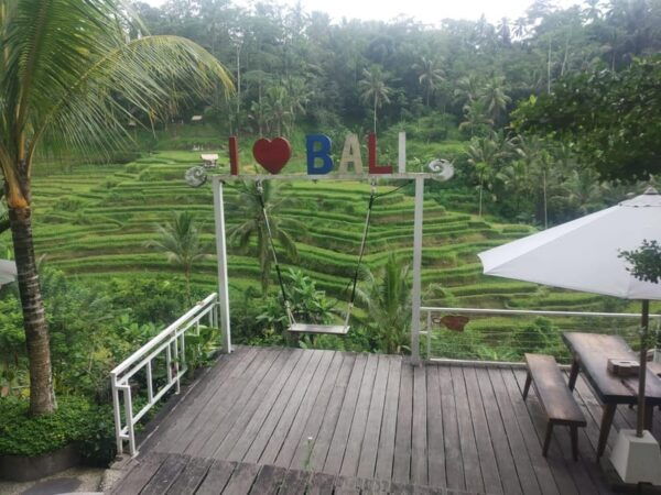 Bali : Rafting + Rice Terrace + 1,5Hrs Massage + Lunch - Questions You May Have