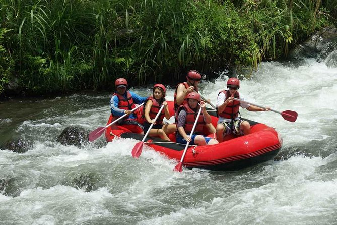 Bali Rafting, Rice Terrace, Tanah Lot Sunset - Rafting Adventure on Balis River