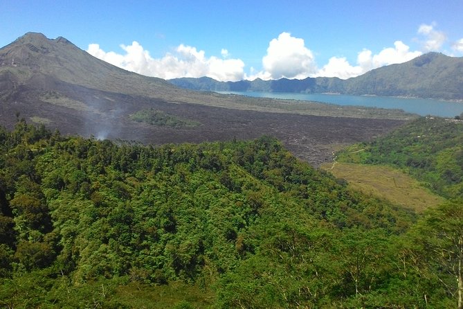 Bali Rafting, Rice Terrace, Volcano, Monkey Forest - Tour Highlights