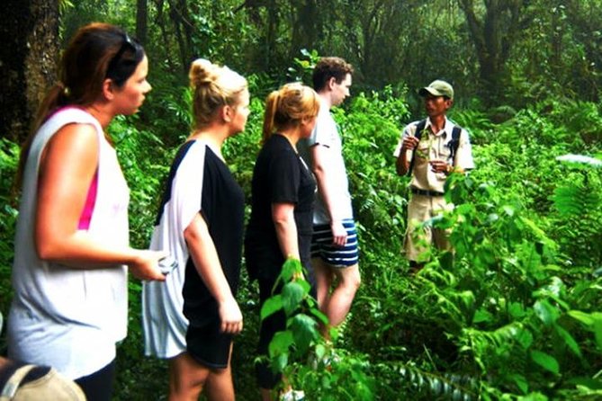 Bali Rain Forest Trekking Tour With Lunch - Itinerary Details