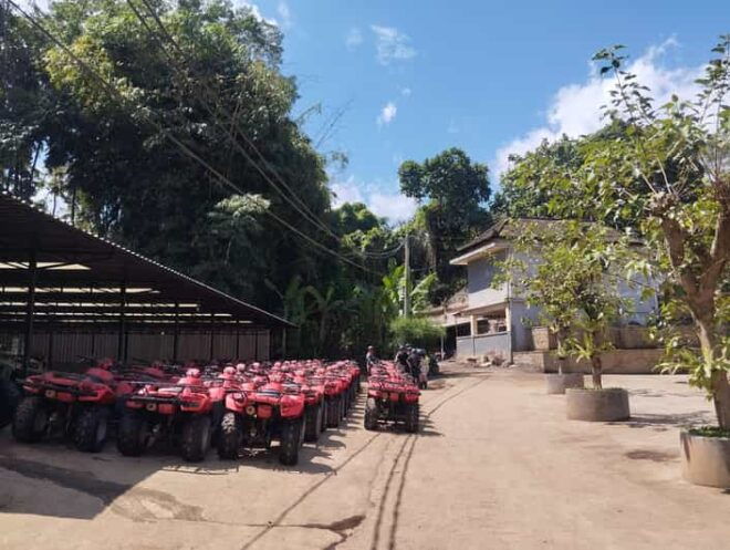 BALI: REASONS FOR ADVENTURE ATV RIDE/TEGALALANG TOURS - ATV Options and Features