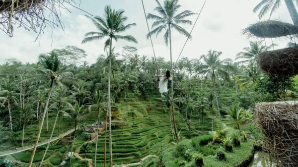 BALI: REASONS FOR ADVENTURE ATV RIDE/TEGALALANG TOURS - Inclusions and What to Expect
