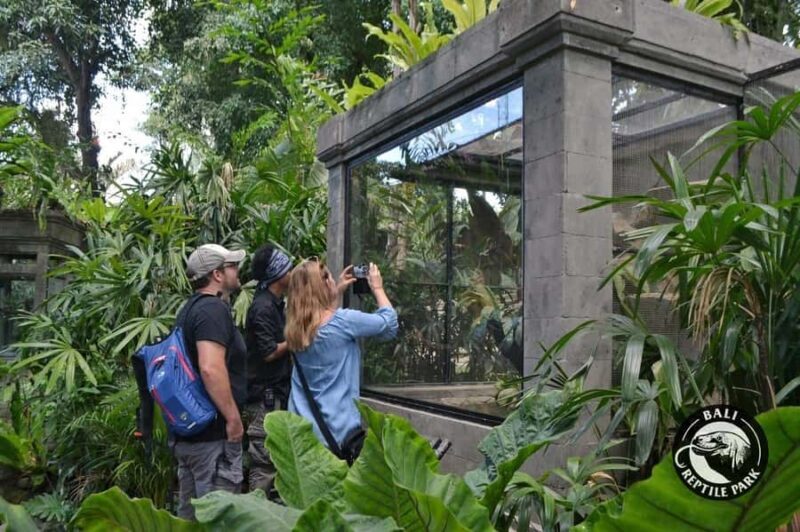 Bali Reptile Park 1-Day Admission Ticket - The Experience from the Reviews