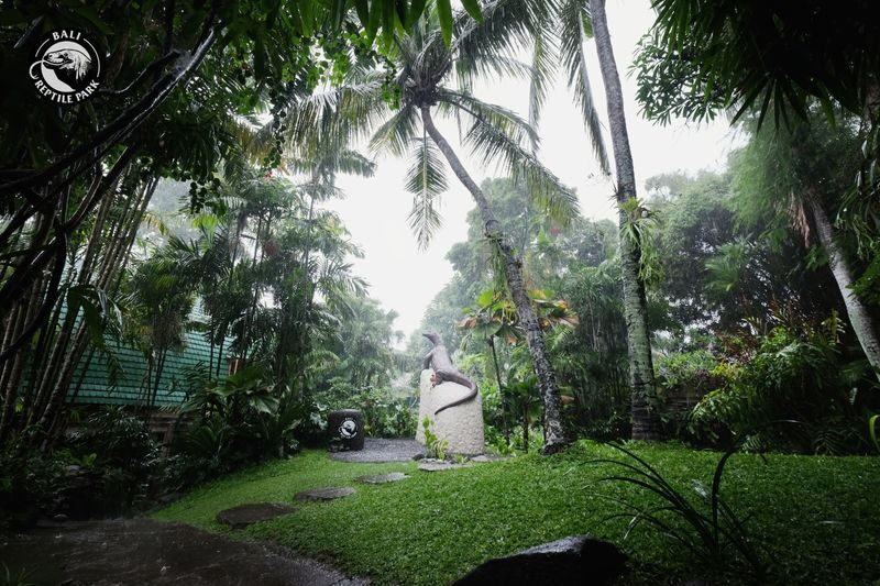 Bali Reptile Park Ticket - At a glance