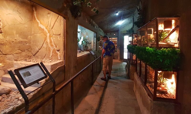 Bali Reptile Park Ticket - What the visit feels like, step by step