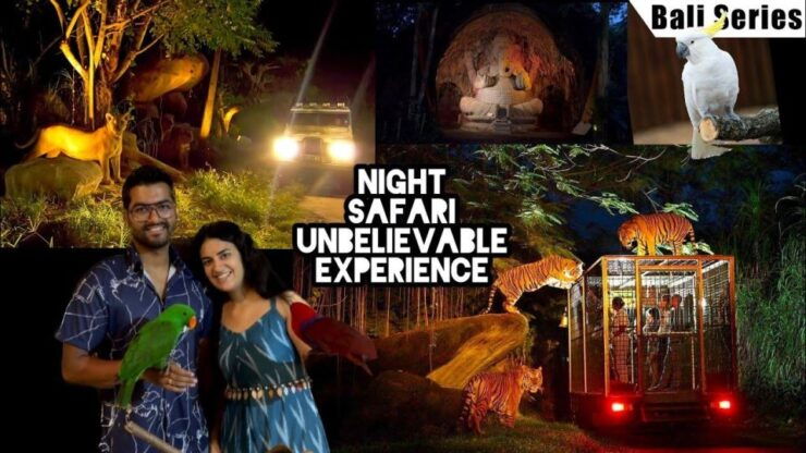 Bali: Return Private for Night Safari Bali Safari Marine - Good To Know