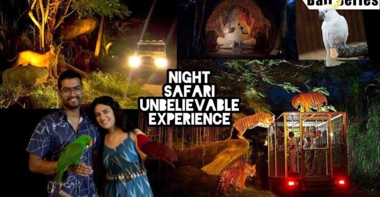 Bali: Return Private for Night Safari Bali Safari Marine - Activity Details