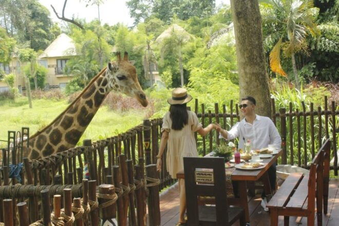 Bali: Return Private for Night Safari Bali Safari Marine - Oversize Luggage Package