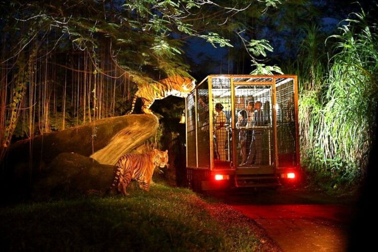 Bali: Return Private Transfer for Night Safari - Activity Details
