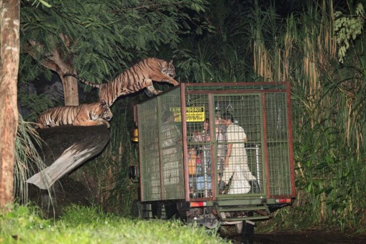 Bali: Return Private Transfer for Night Safari - Review Summary