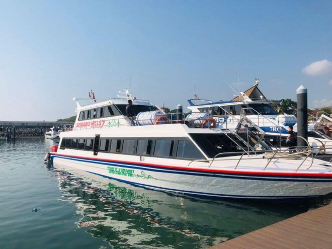Bali: Return Ticket Fast Boat and Nusa Penida Pick Up & Drop - Additional Information