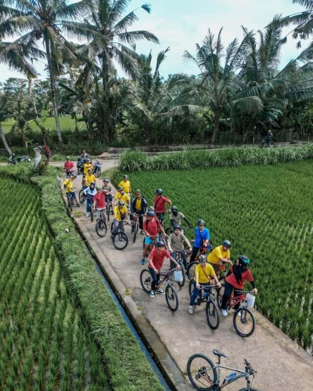 Bali: Rice Field and Village Cycling Tour with Guide - Good To Know