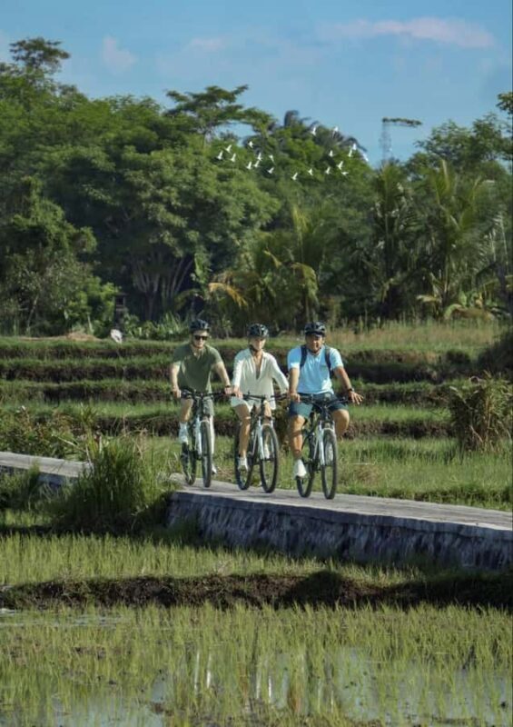Bali: Rice Field and Village Cycling Tour with Guide - What Makes This Tour Stand Out?