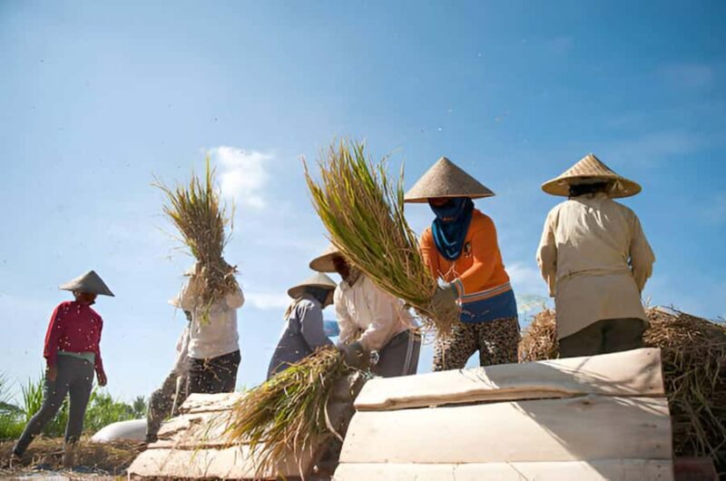 Bali: Rice Terrace Trekking & Jungle River Tubing Adventure - FAQ