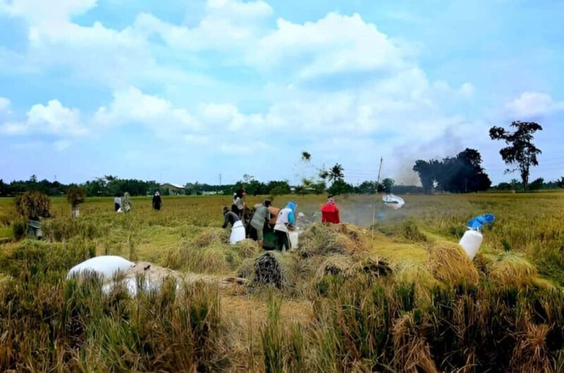 Bali: Rice Terrace Trekking & Jungle River Tubing Adventure - The Full Itinerary Breakdown