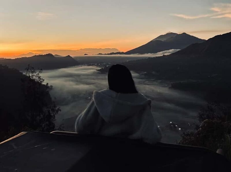 Bali: Rice Terrace & Volcano Tour with Penglipuran Village - The Experience Breakdown