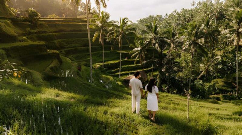 Bali: Rice Terraces, Coffee Tasting & Dinner by Fireflies - Good To Know