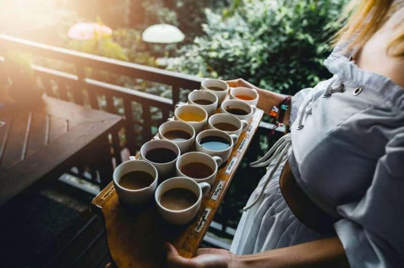 Bali: Rice Terraces, Coffee Tasting & Dinner by Fireflies - Who Will Enjoy This Tour?